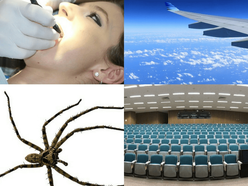 Was tun bei Phobien? Schnelle Hilfe durch Hypnose 