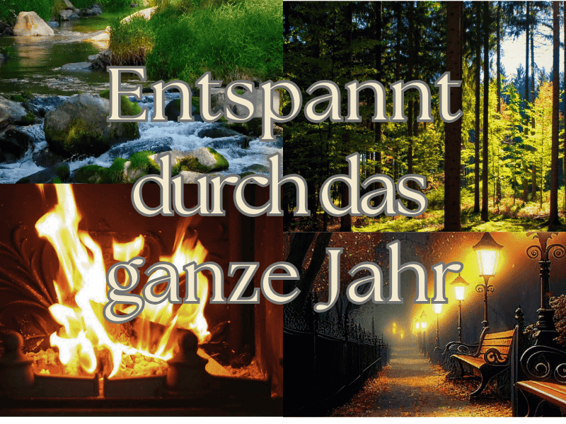 Naturgeräusche - vielfältige Playlist 