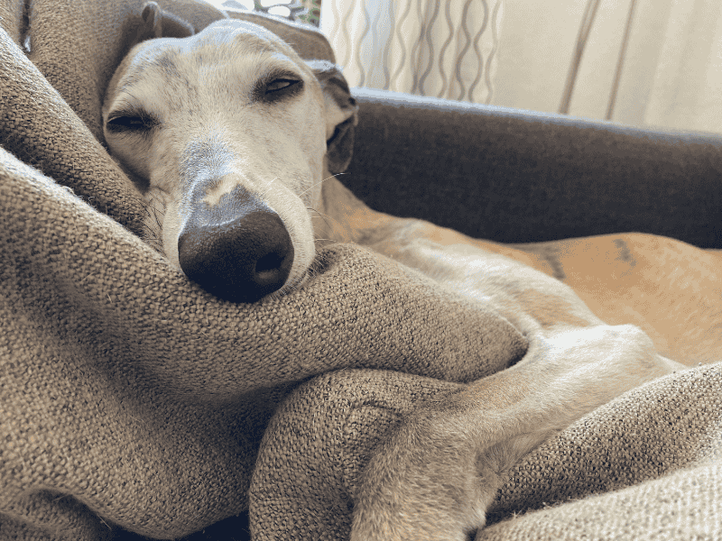 "Chilling me Softly“, mein Selbsthypnose-Kurs: Einfach entspannend…